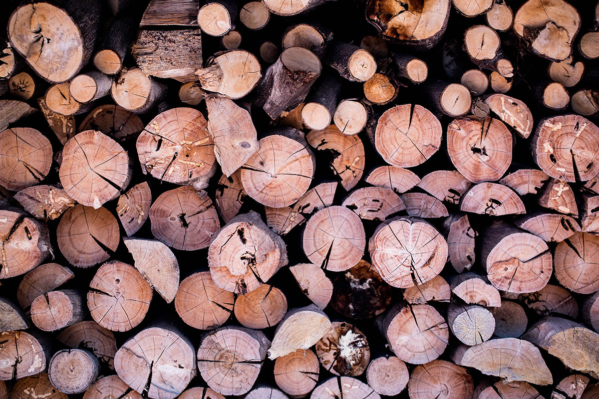 How rising lumber prices can impact your next home John Cloud